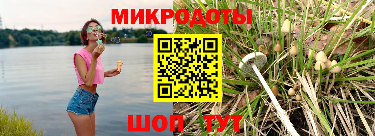 Галлюциногенные грибы прущие грибы Шадринск